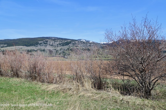TBD10AC Stateline Rd, Alta, WY 83414