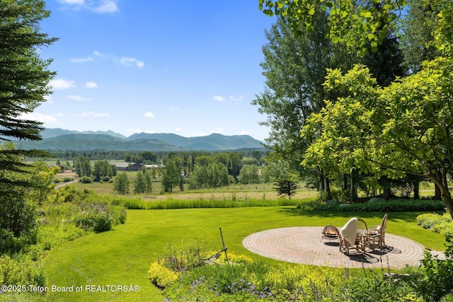 2425 N Fish Creek Rd, Wilson, WY 83014 - photo 2
