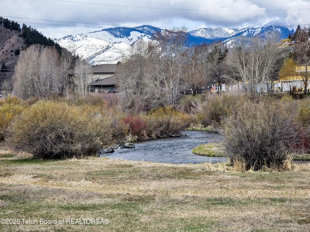 520 W Kelly Ave, Jackson, WY 83001 - photo 17