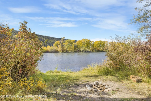 3768 Swan Valley Hwy, Irwin, ID 83428 - photo 9