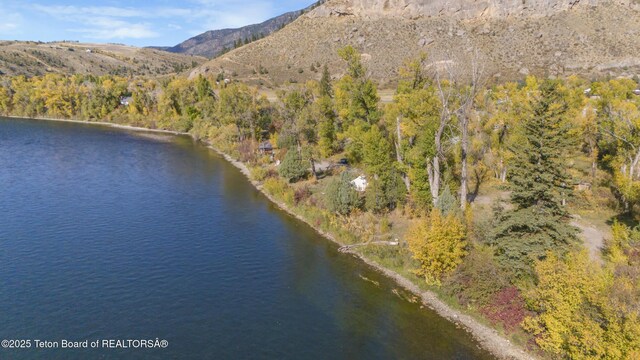 3768 Swan Valley Hwy, Irwin, ID 83428 - photo 7
