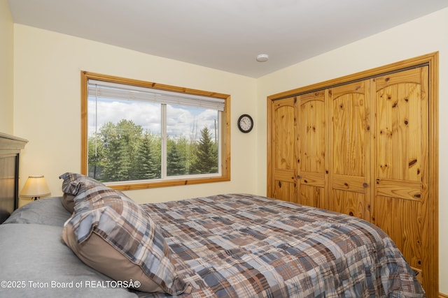bedroom with a closet
