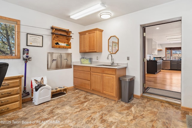 9 Warm Springs Rd, Dubois, WY 82513 - kitchen featuring baseboards, light countertops, and a sink