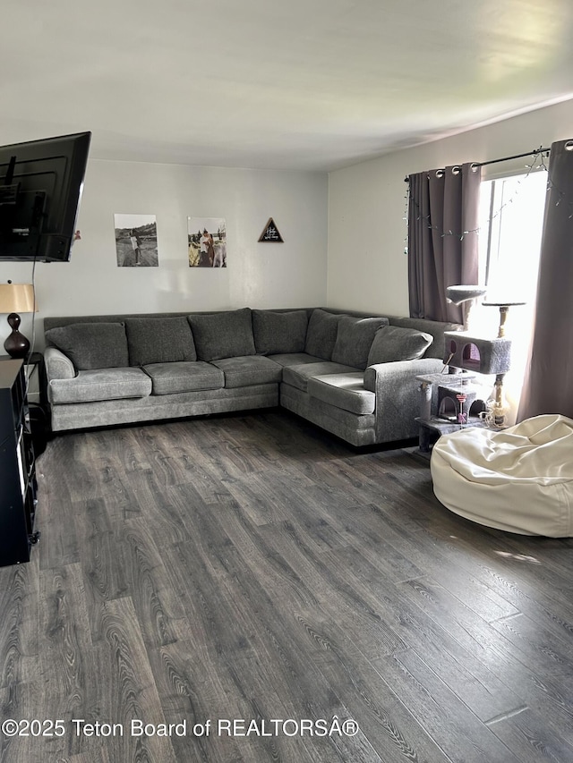 living area featuring dark wood-style floors