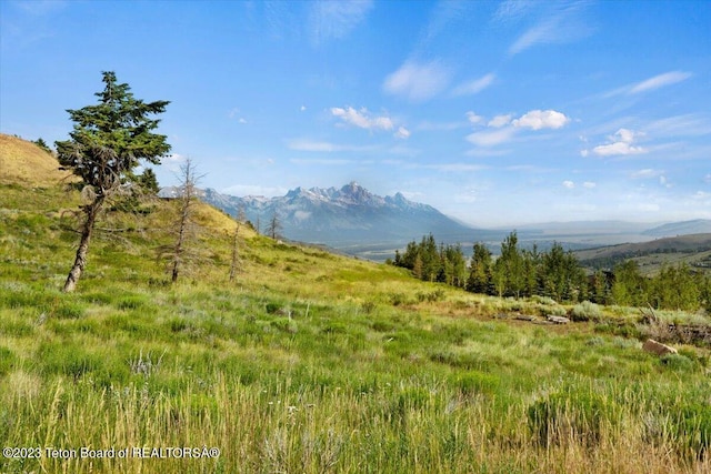 845 W Saddle Butte Dr, Jackson, WY 83001