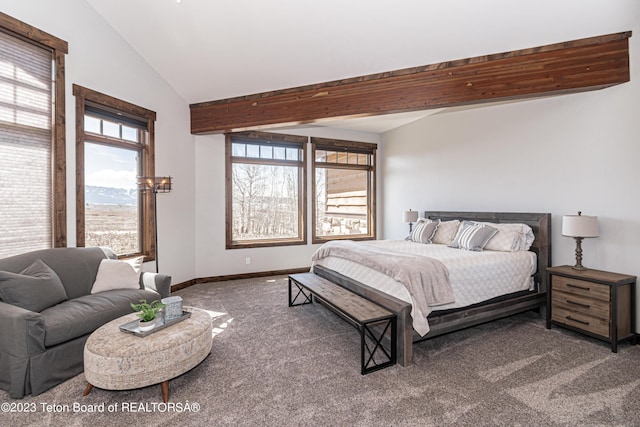 454 Deer Rd, Bedford, WY 83112 - photo 31