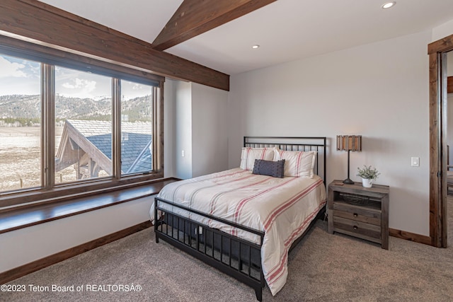 454 Deer Rd, Bedford, WY 83112 - photo 43