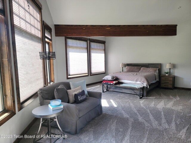 454 Deer Rd, Bedford, WY 83112 - photo 49