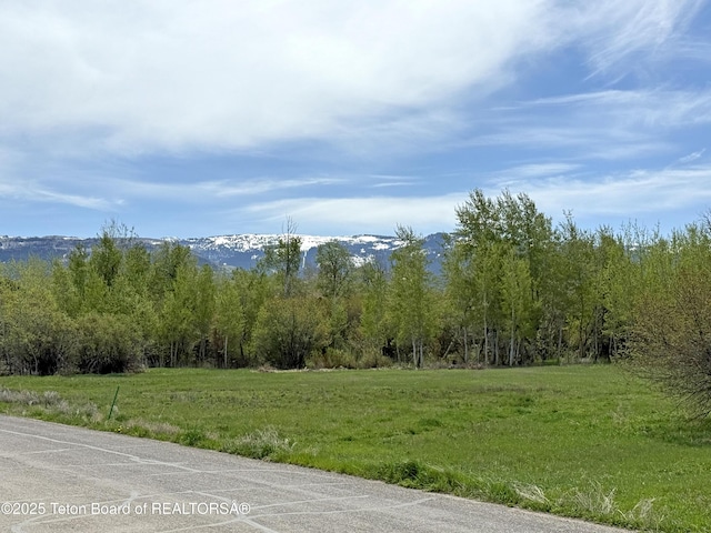 650 Centennial Mountain St, Driggs, ID 83422 - view of mountain backdrop with a forest