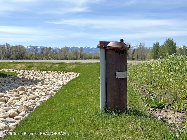 650 Centennial Mountain St, Driggs, ID 83422 - exterior view of a mountainous background