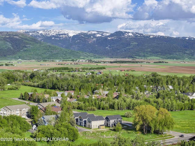 650 Centennial Mountain St, Driggs, ID 83422 - view of mountain backdrop