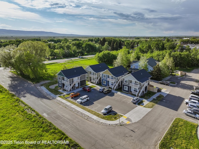650 Centennial Mountain St, Driggs, ID 83422 - bird's eye view
