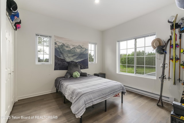 650 Centennial Mountain St, Driggs, ID 83422 - bedroom with baseboard heating, wood finished floors, and baseboards