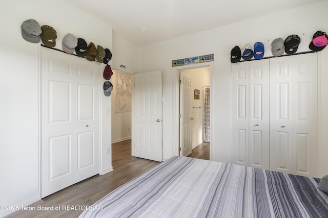 650 Centennial Mountain St, Driggs, ID 83422 - bedroom with wood finished floors and a closet