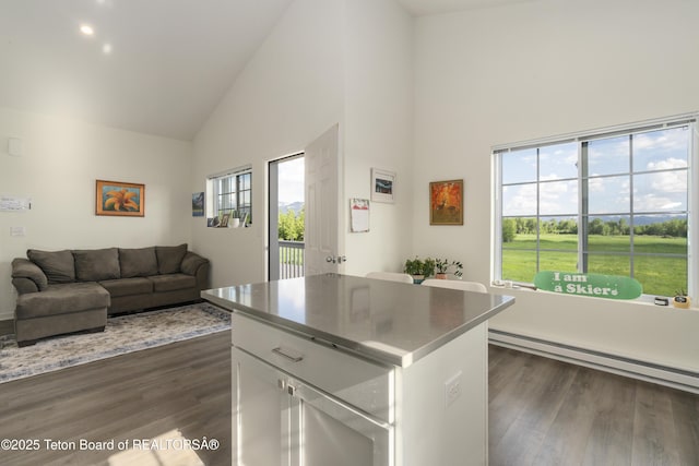 650 Centennial Mountain St, Driggs, ID 83422 - kitchen with high vaulted ceiling, white cabinets, dark wood-type flooring, baseboard heating, and a kitchen island