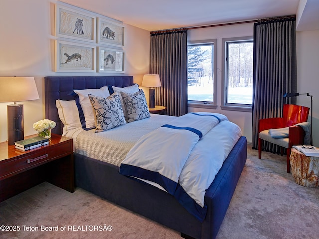 2985 N Alder Wood Ln, Wilson, WY 83014 - view of carpeted bedroom