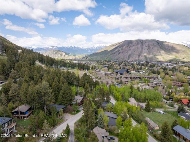735 Snow King Dr, Jackson, WY 83001 - view of mountain background featuring nearby suburban area