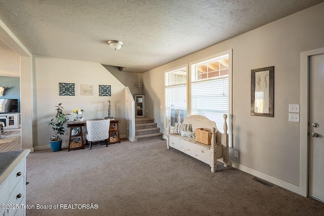 350 Little Greys Loop, Etna, WY 83118 - living area with carpet, a textured ceiling, and baseboards