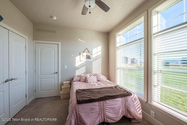 350 Little Greys Loop, Etna, WY 83118 - carpeted bedroom with multiple windows, a textured ceiling, and a ceiling fan