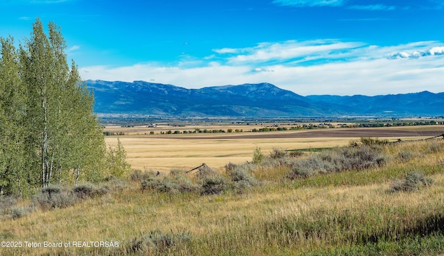 3750 Grandview Dr, Tetonia, ID 83452 - mountain view