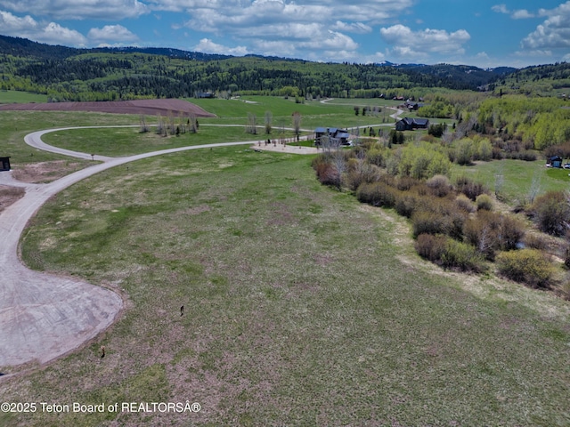 3260 Old Post Ln, Victor, ID 83455 - photo 18