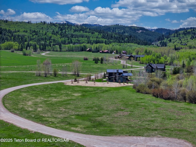 3260 Old Post Ln, Victor, ID 83455 - photo 10