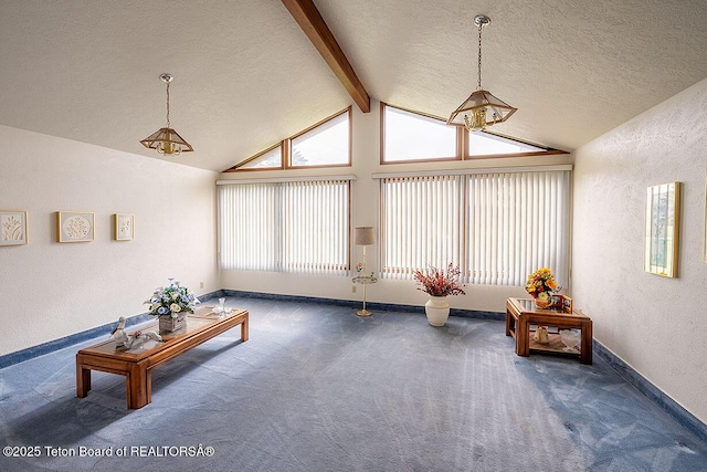 823 Allred Rd, Afton, WY 83110 - carpeted living area with a textured wall, healthy amount of natural light, a textured ceiling, and baseboards