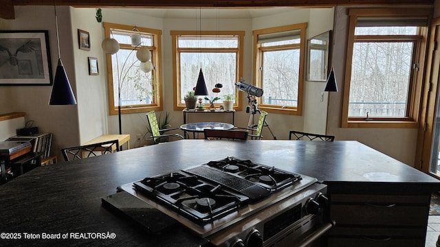 2435 Steelhead Dr, Tetonia, ID 83452 - kitchen with stove