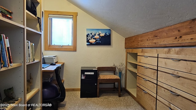 2435 Steelhead Dr, Tetonia, ID 83452 - office featuring lofted ceiling, carpet flooring, baseboards, and a textured ceiling