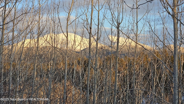 2435 Steelhead Dr, Tetonia, ID 83452 - view of local wilderness