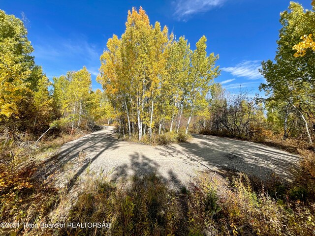 W 10000 S, Tbd Victor, ID 83455
