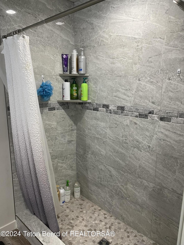 543 Rockbridge Dr, Afton, WY 83110 - full bathroom with tiled shower
