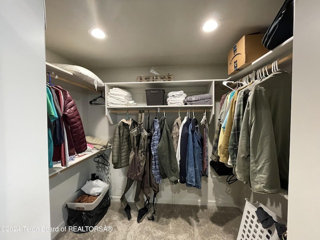 543 Rockbridge Dr, Afton, WY 83110 - walk in closet with carpet