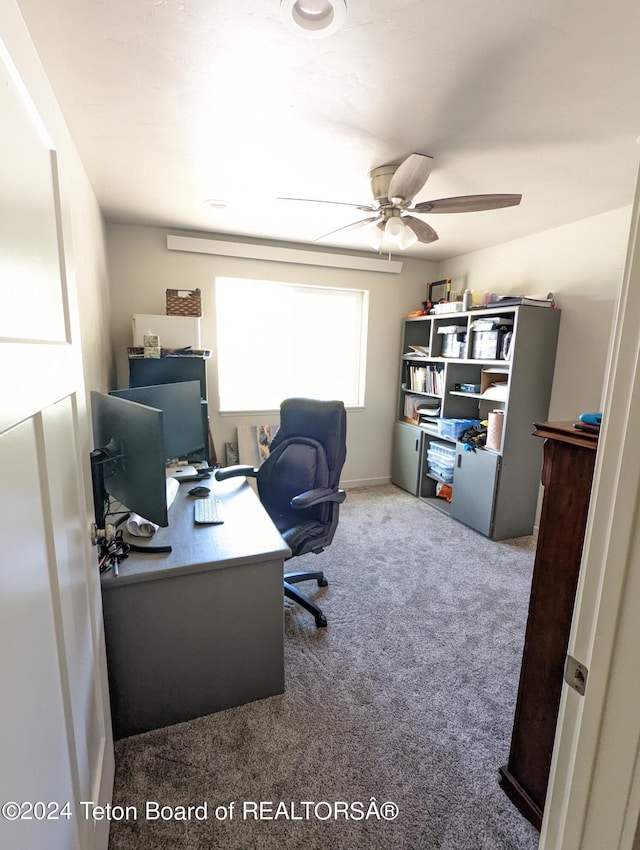 543 Rockbridge Dr, Afton, WY 83110 - carpeted office space featuring ceiling fan