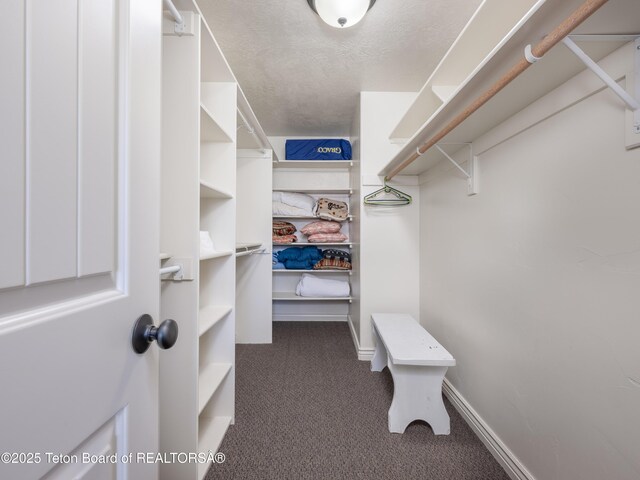 525 Booshway St, Driggs, ID 83422 - spacious closet featuring dark colored carpet
