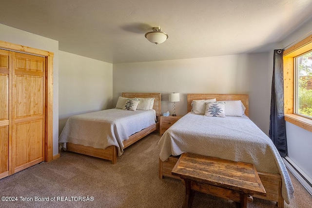 1238 Vista Dr, Star Valley Ranch, WY 83127 - bedroom with carpet flooring and baseboard heating
