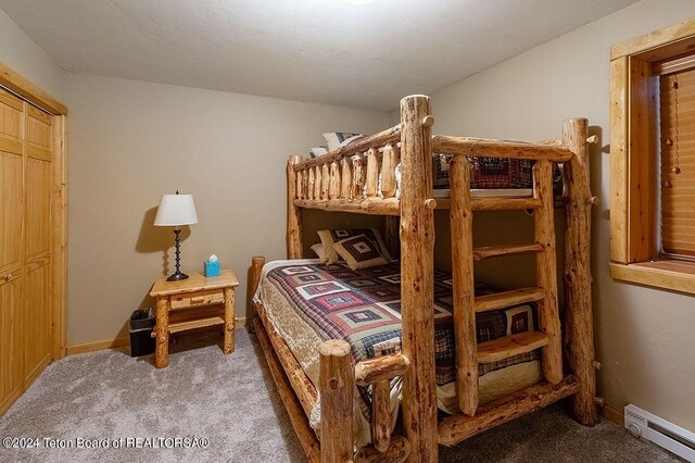 1238 Vista Dr, Star Valley Ranch, WY 83127 - carpeted bedroom with a baseboard radiator
