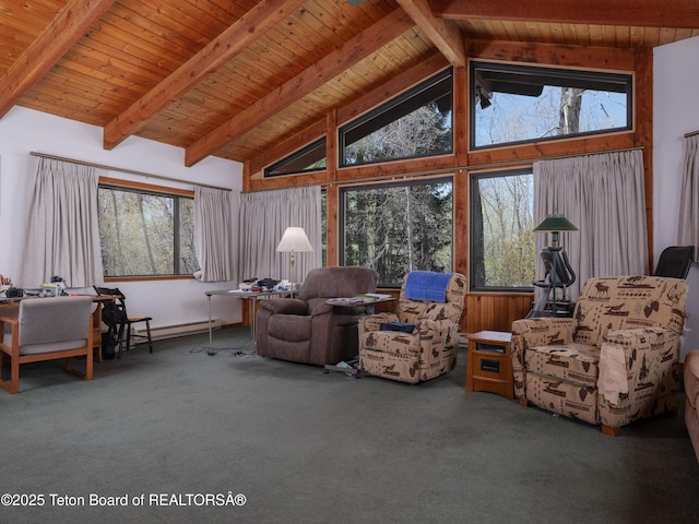529 Quaking Aspen Dr, Driggs, ID 83422 - sitting room featuring carpet, high vaulted ceiling, a baseboard heating unit, beam ceiling, and wood ceiling