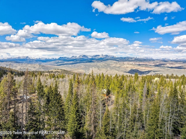 2 Porcupine Cir, Dubois, WY 82513 - view of mountain background with a forest