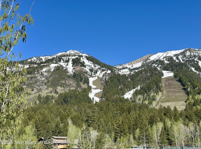 3385 W Village Dr Unit 502, Teton Village, WY 83025 - photo 17
