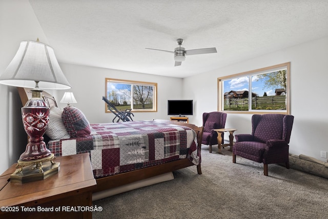51 Buckaroo Cir, Etna, WY 83118 - carpeted bedroom with multiple windows and ceiling fan