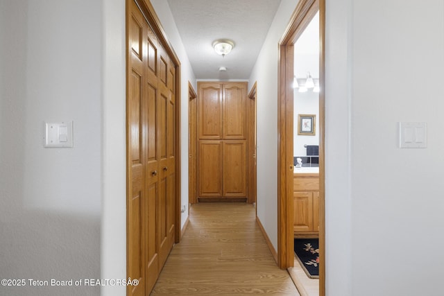 51 Buckaroo Cir, Etna, WY 83118 - hall featuring light wood-type flooring and a textured ceiling
