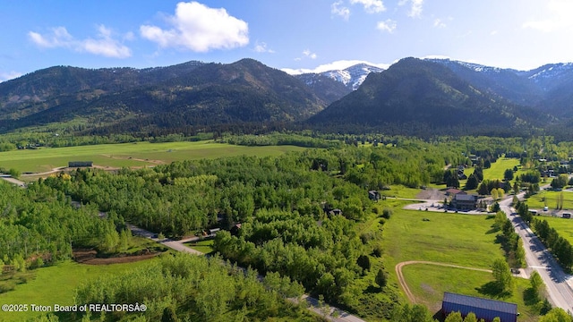 99 Sugar Lf, Star Valley Ranch, WY 83127 - view of mountain background featuring a forest