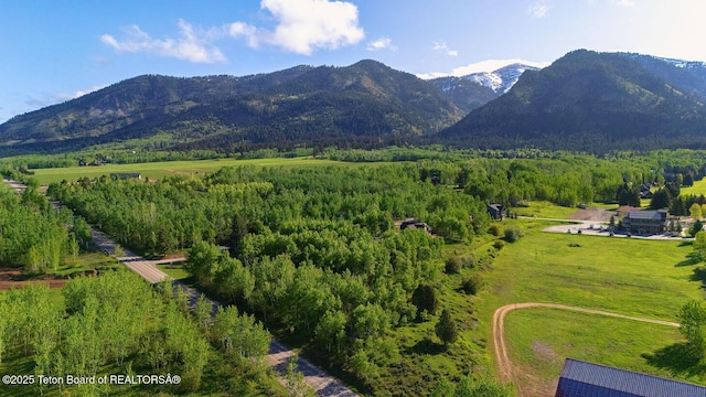 99 Sugar Lf, Star Valley Ranch, WY 83127 - mountain view featuring rural landscape and a forest