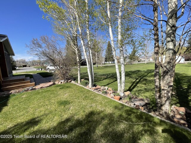 325 1st St N, Cokeville, WY 83114 - view of green lawn