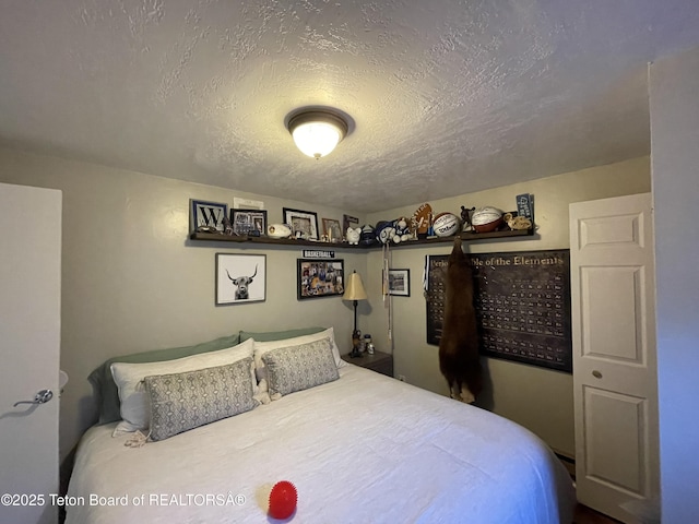 325 1st St N, Cokeville, WY 83114 - bedroom with a textured ceiling