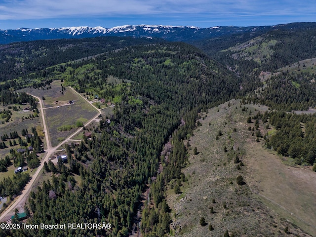 2401 Grandview Dr, Tetonia, ID 83452 - photo 35
