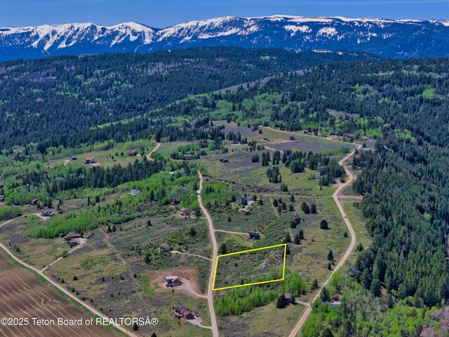 2401 Grandview Dr, Tetonia, ID 83452 - photo 21
