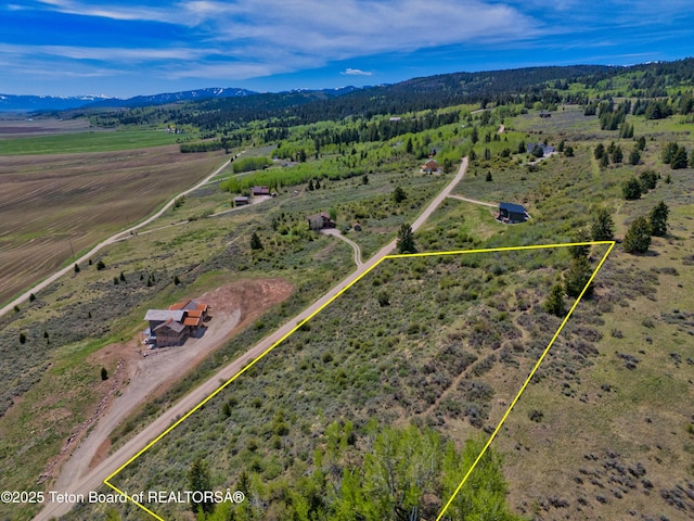 2401 Grandview Dr, Tetonia, ID 83452 - photo 25