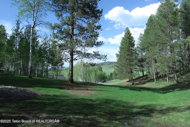 view of property's community with a yard and a mountain view